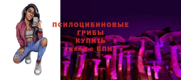 твердый Богородицк